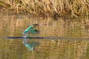 2011_10_31_0184_RieselfelderT2