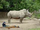 2004_0627ZOO0129_1