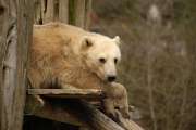 2006_04_09_122_Zoo