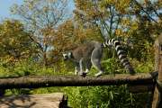 2007_10_07_176_ZOO