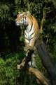 2007_10_07_426_ZOO