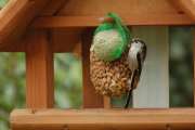 2008_02_24_15Februar