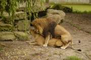 2009_08_09_119_Zoo