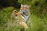 2009_08_09_442_Zoo