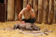 2009_09_26_37_Zoo